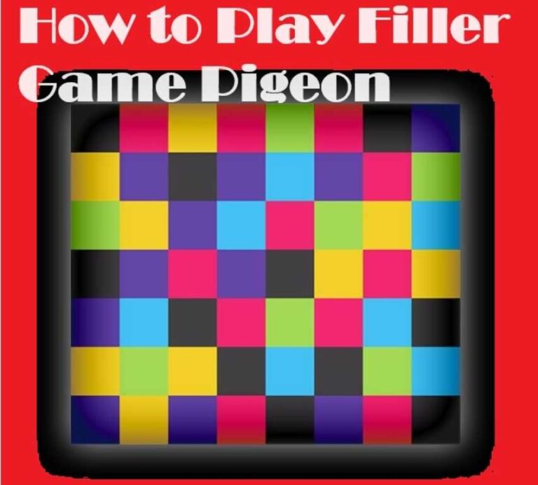 How to Play Filler Game Pigeon?