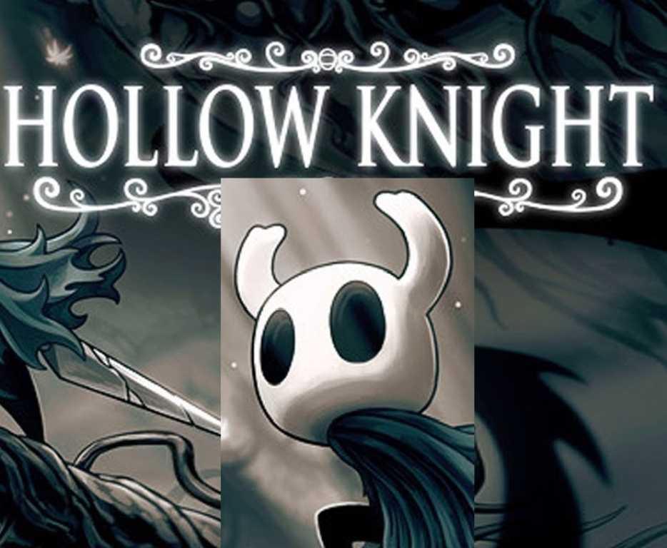 What is Hollow Knight Game